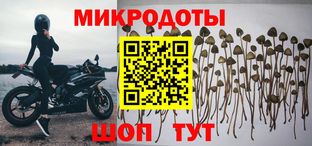 Красногорск  Галлюциногенные грибы MAGIC MUSHROOMS  Вход с VPN 