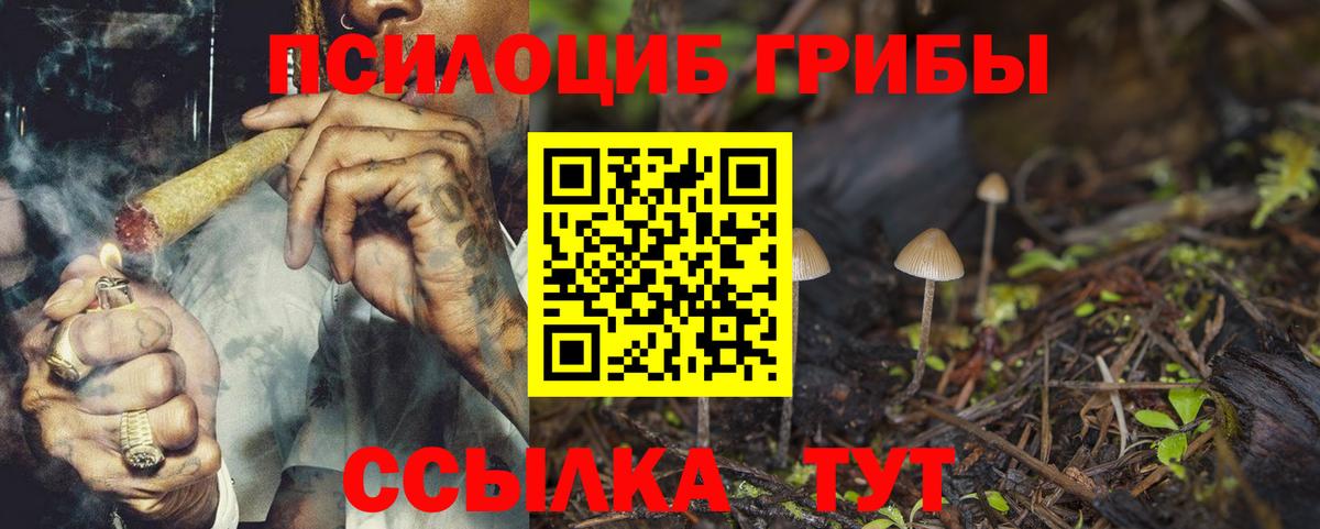 Галлюциногенные грибы мицелий Красногорск