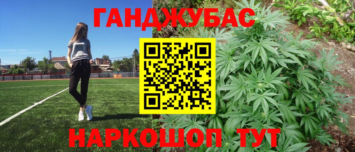 Бошки Шишки планчик Красногорск